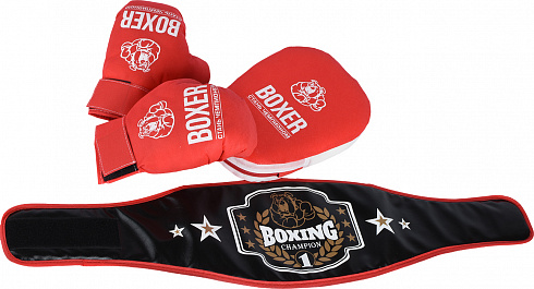 Boxing set (paw, belt, gloves) (10pcs)
